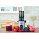 Unold 78275 Slow Juicer Sam Entsafter 300W grau – billede 14