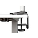 StarTech.com Desk Mount Laptop Arm, Full Motion Articulating Arm for Laptop or Single 34 Monitor, VESA Mount Laptop Tray Bracket, Ergonomic Adjustable Notebook Stand, Desk-Clamp - Tilt/Swivel/Rotate (ARMUNONB1) Monitor / notebook Stativ – billede 8