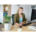 Trust TM-201 Optisk Trådløs Sort – billede 6