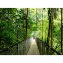 HP EliteBook 6 EB6G1a14AI RAI5340 14 16GB/512 PC NX 14 1920 x 1200 (WUXGA) 340 16GB 512GB AMD Radeon 840M Windows 11 Pro – billede 5