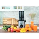 Unold 78275 Slow Juicer Sam Entsafter 300W grau – billede 13