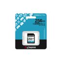Kingston Canvas Go! Plus SDXC UHS-I Memory Card 256GB 200MB/s – billede 3