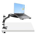 StarTech.com Desk Mount Laptop Arm, Full Motion Articulating Arm for Laptop or Single 34 Monitor, VESA Mount Laptop Tray Bracket, Ergonomic Adjustable Notebook Stand, Desk-Clamp - Tilt/Swivel/Rotate (ARMUNONB1) Monitor / notebook Stativ – billede 1