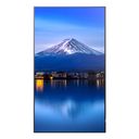 P556 55IN UHD LFD D-LED – billede 10