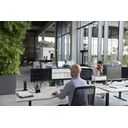 HP Elite t755 3 GHz Windows 10 IoT Enterprise 1,4 kg Sort V2546 – billede 4