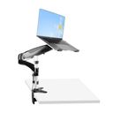 StarTech.com Desk Mount Laptop Arm, Full Motion Articulating Arm for Laptop or Single 34 Monitor, VESA Mount Laptop Tray Bracket, Ergonomic Adjustable Notebook Stand, Desk-Clamp - Tilt/Swivel/Rotate (ARMUNONB1) Monitor / notebook Stativ – billede 9