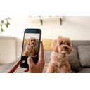 TCL K70 4G 128GB Black – billede 14