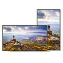 E439 43 IN LFD UHD 350CD/M2 D- – billede 2
