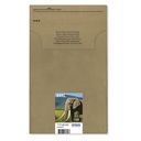 Epson 24XL Multipack Mail Packaging Sort Gul Cyan Magenta Lys magenta Lys cyan – billede 2