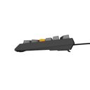 GENESIS Thor 230 TKL Tastatur Mekanisk RGB Kabel & trådløs – billede 12