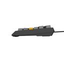 GENESIS Thor 230 TKL Tastatur Mekanisk RGB Kabel & trådløs – billede 10